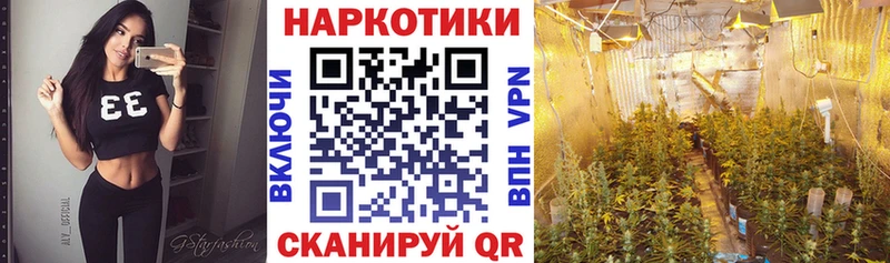 Наркота Ковылкино Каннабис Мефедрон ГАШ