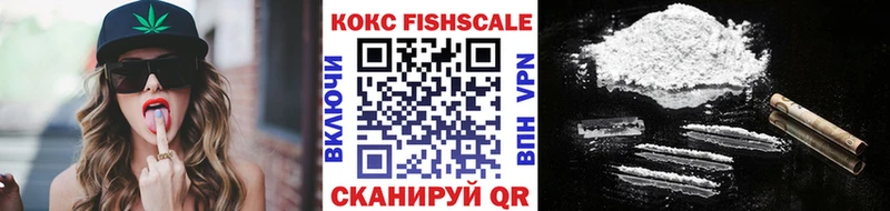 наркота  Ковылкино  shop телеграм  Cocaine FishScale 