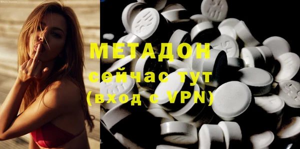 индика Богданович
