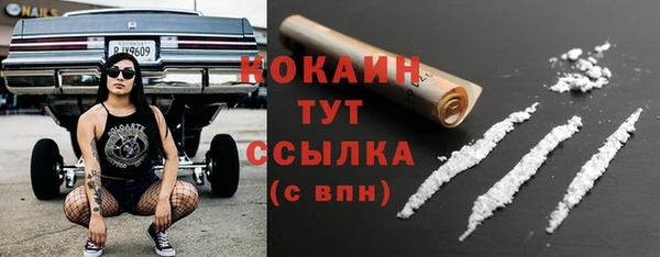 индика Богданович