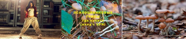 круглые Богородск