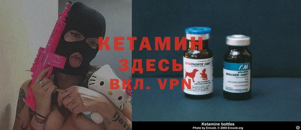индика Богданович