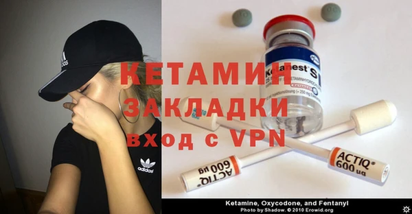 индика Богданович