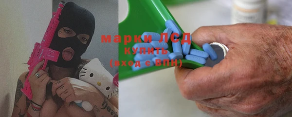 индика Богданович