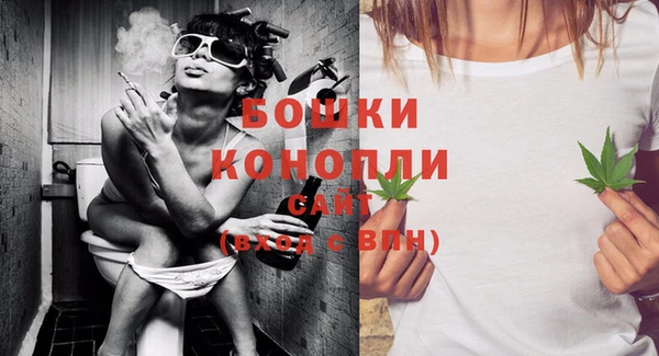 экстази Бородино