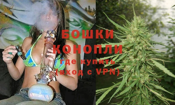 индика Богданович