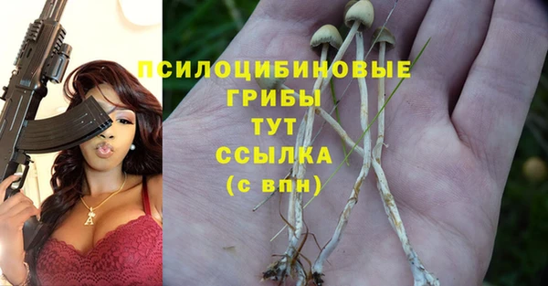 метадон Богородицк