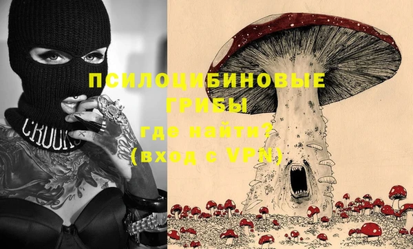 экстази Бородино