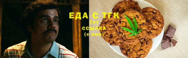 индика Богданович